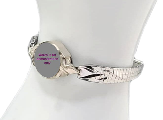 Stainless steel C type partial expansion band with easy to remove/add click together links.
