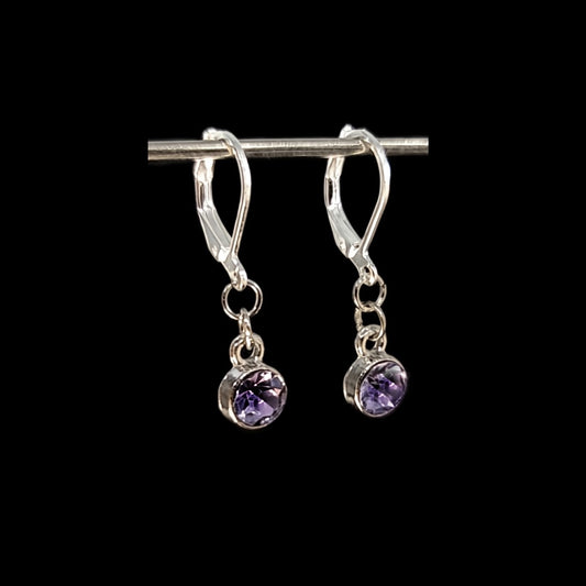 Amethyst - February Birthstone Earrings in Sterling Silver & Stainless Steel