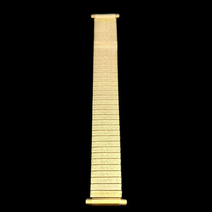 Stainless Steel Expansion Vintage Style Flexible Watch Band for 17mm+ Watch Lugs