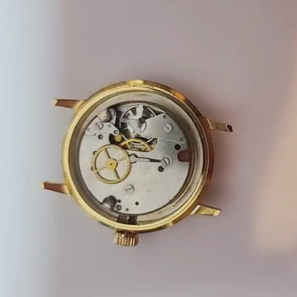 Futura Mens Japanese Mechanical Vintage Watch
